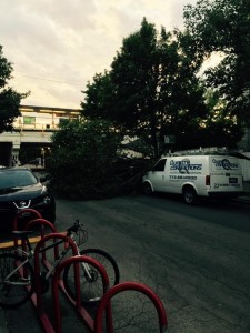 Alexis Seeder LevyBy Berwyn red line