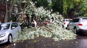 Jenna Braunstein1500 block of Rosemont